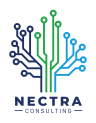 NECTRA Consulting Logo